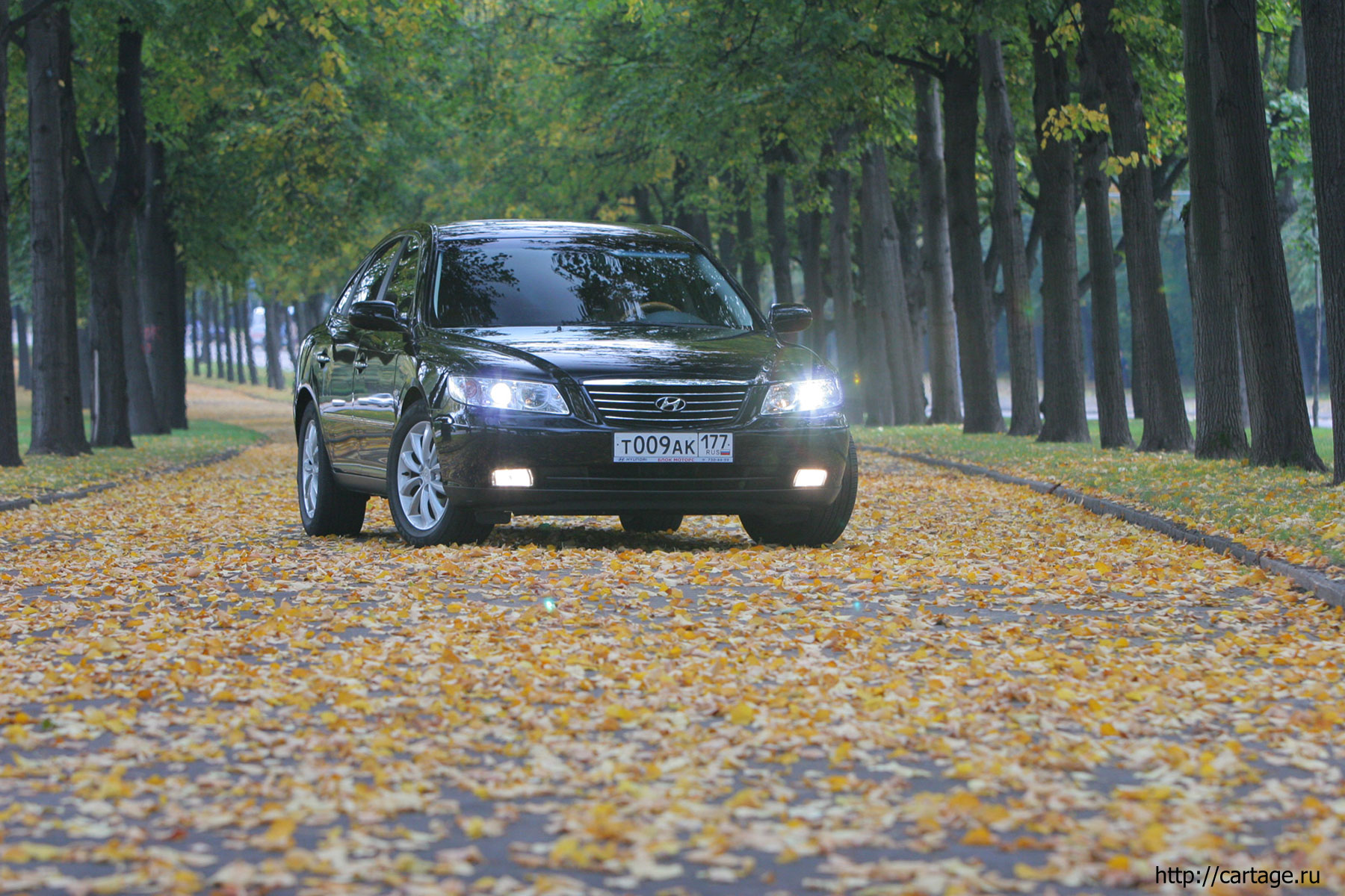 hyundai grandier салон hyundai grandier салон
