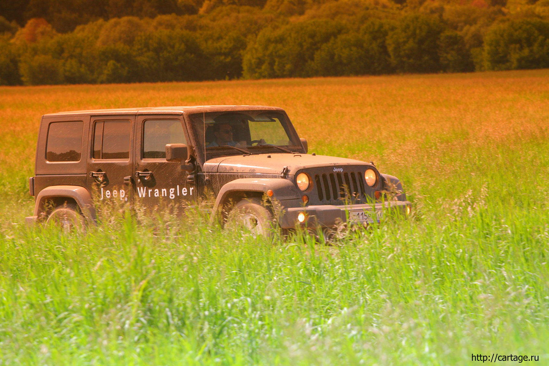 jeep wrangler 2014