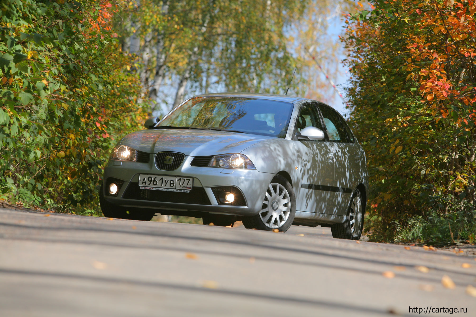 seat ibiza