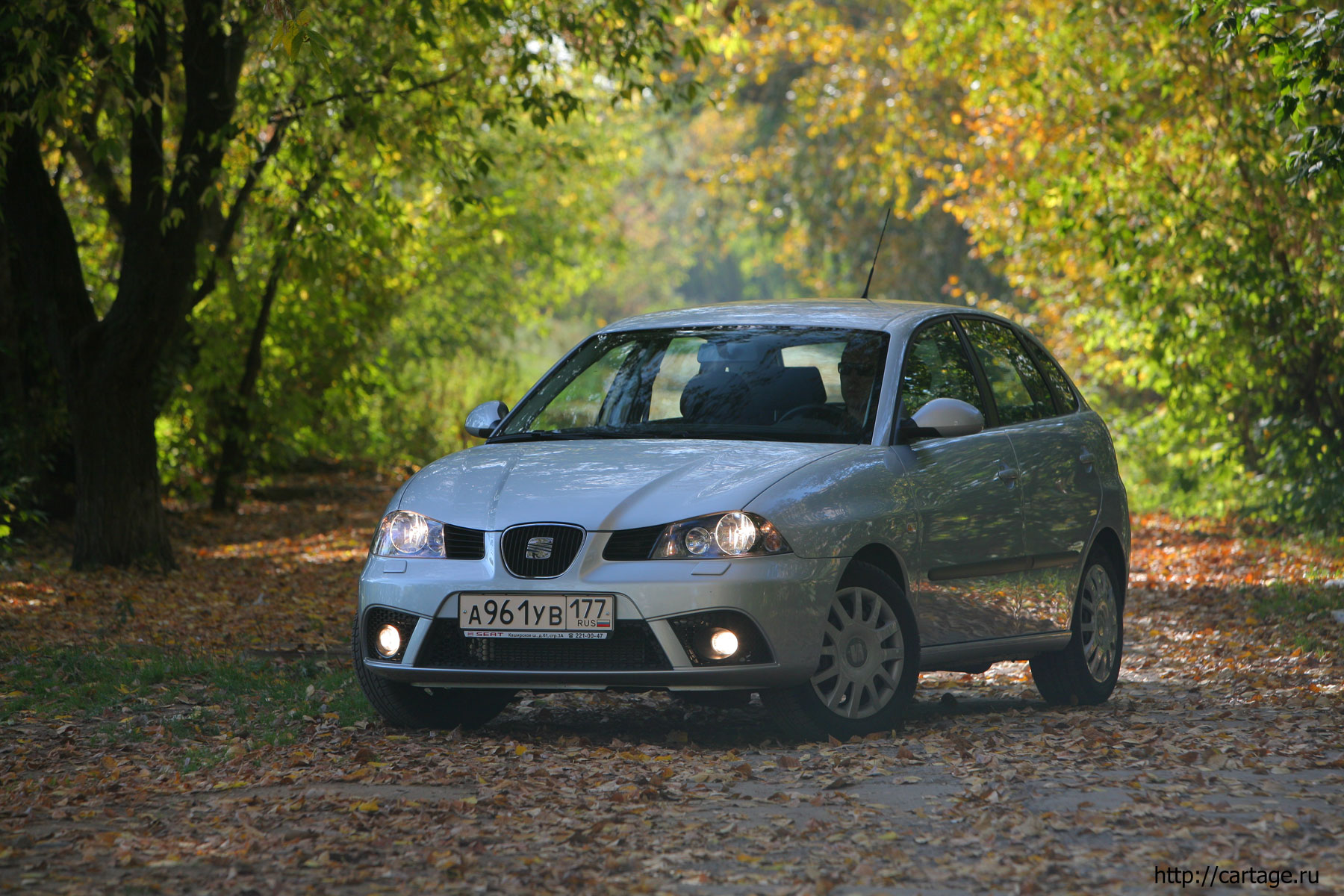 seat ibiza