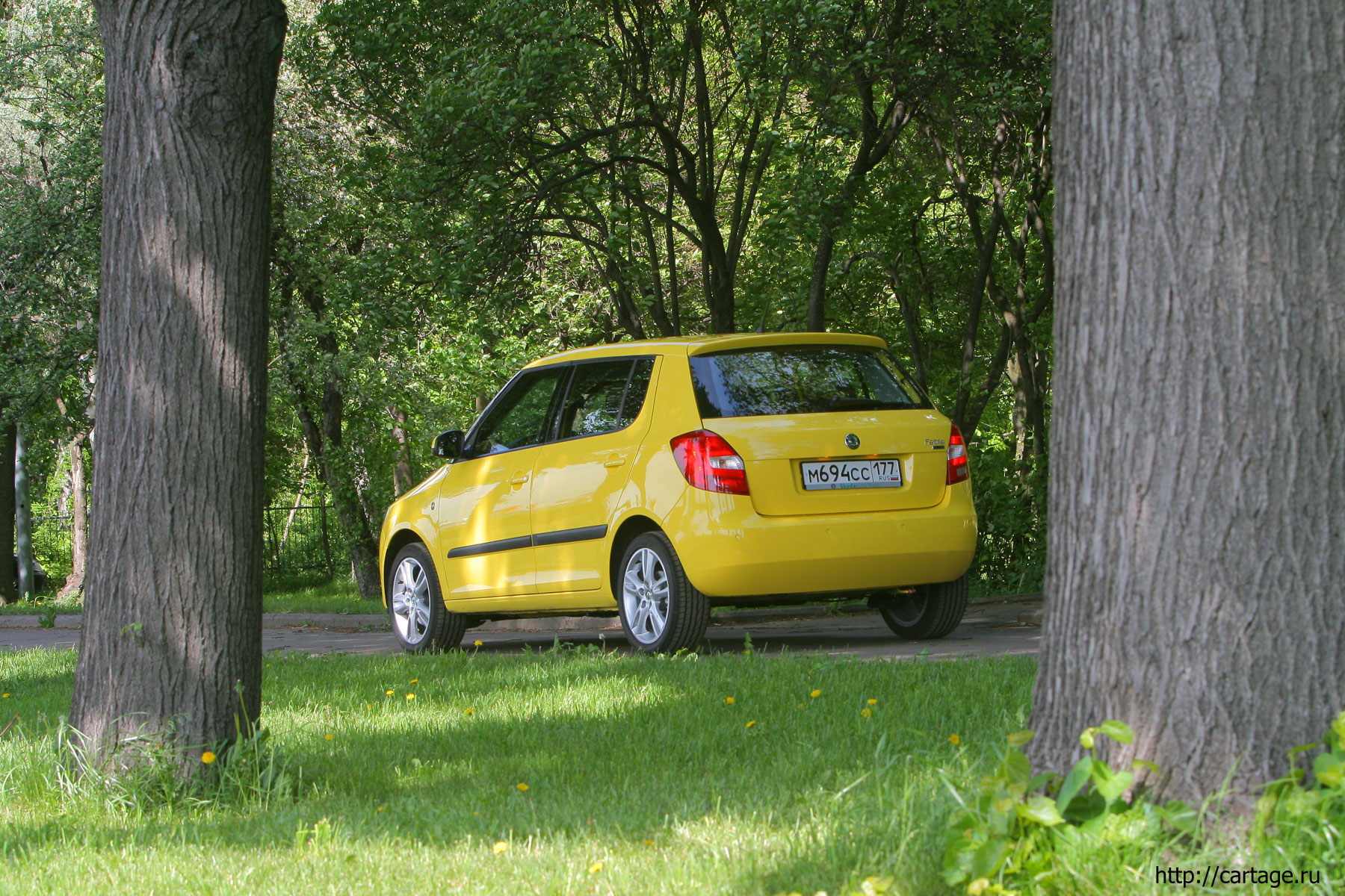 skoda fabia new