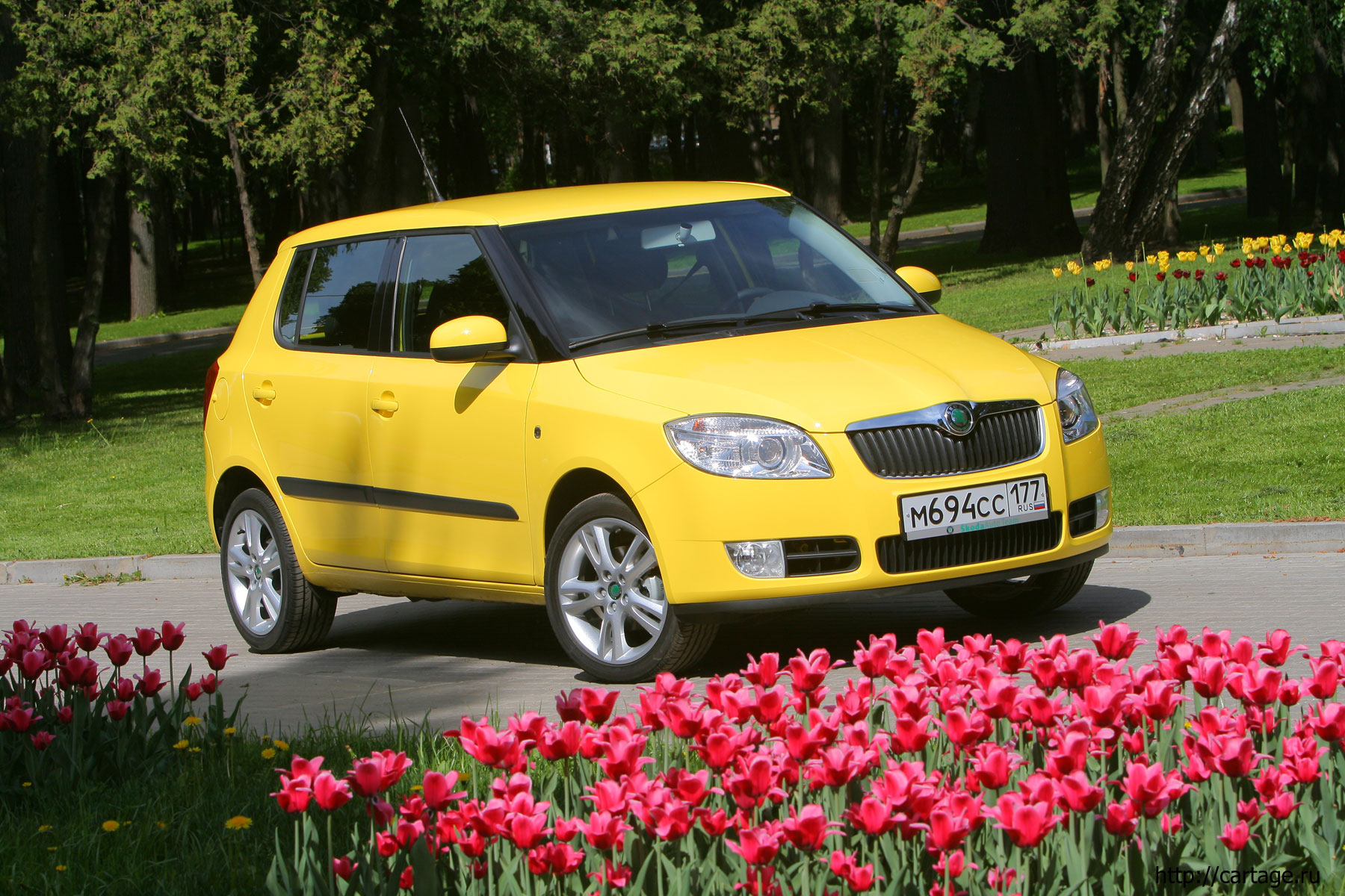 skoda fabia new