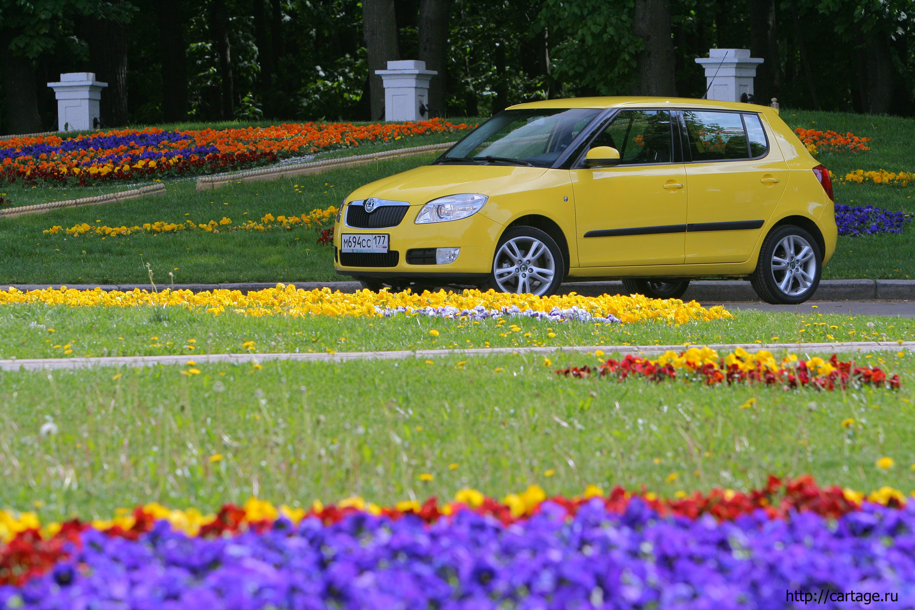 skoda fabia new