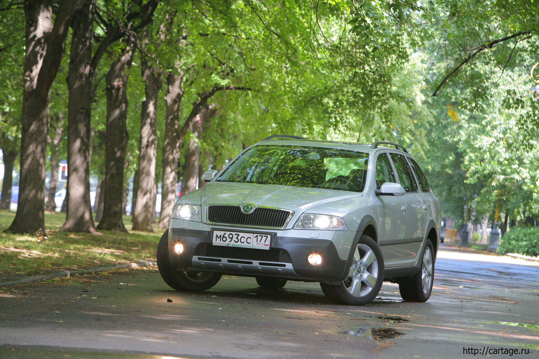 skoda scout