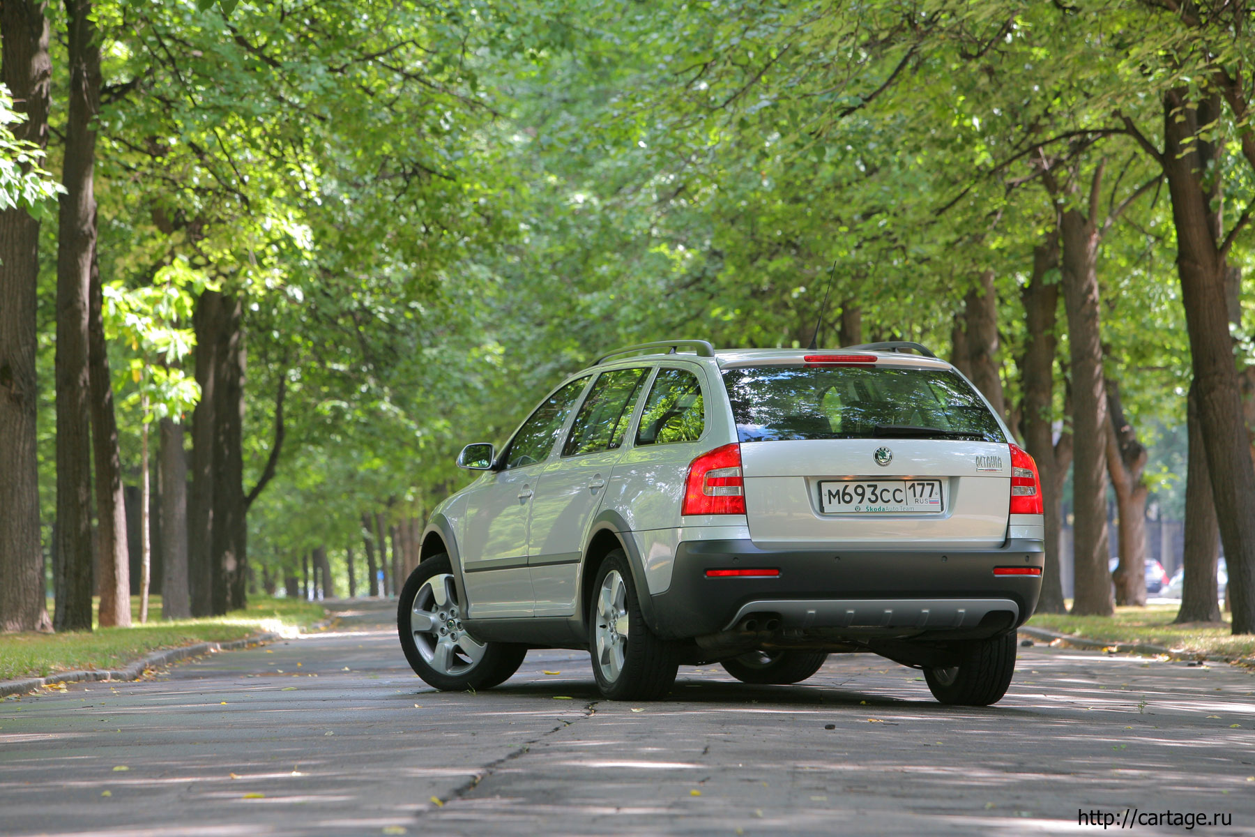 skoda scout