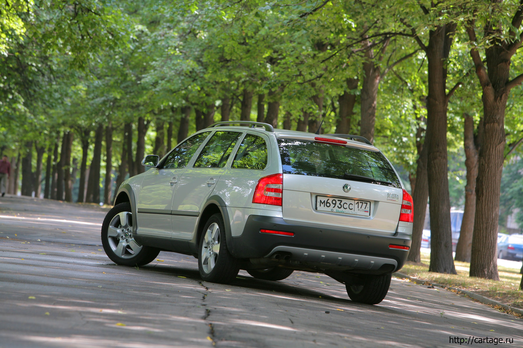 skoda scout