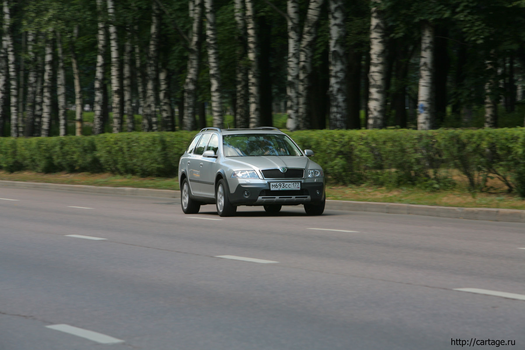 skoda scout