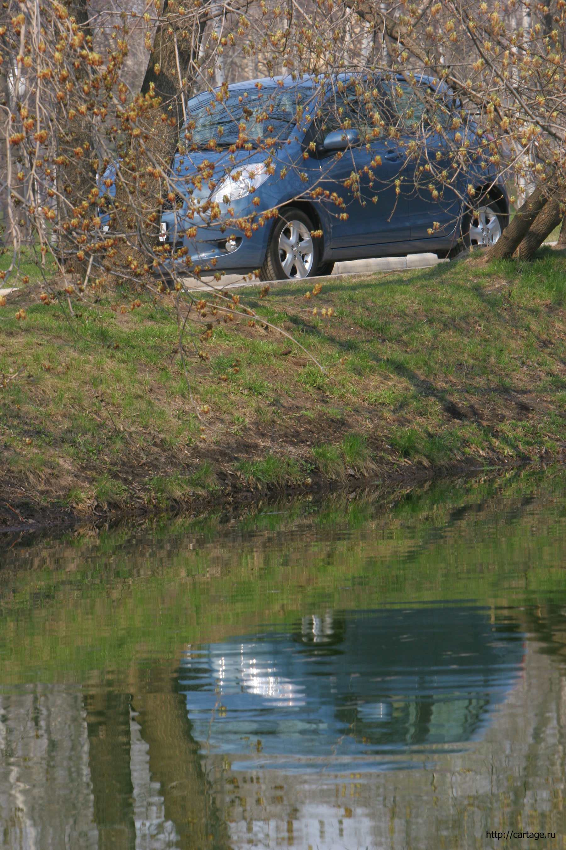 toyota yaris toyota yaris