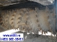   () WIRTGEN 2000 DC