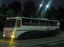 В Санкт-Петербурге могут появиться ночные автобусы